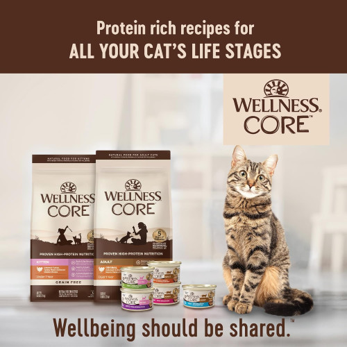 (新包裝 升級版) Wellness CORE WC2 Indoor Pate : Chicken & Chicken Liver Recipe 5.5oz (7910)室內除臭 雞肉拼雞肝 無穀物 經典肉醬主食罐